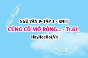 Soạn bài Củng cố, mở rộng trang 61 lớp 9 tập 1 Kết nối tri thức